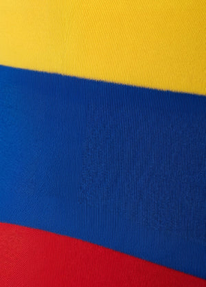 Bodysuit Colombia 2026: Body Tricolor Colombiano | Salome