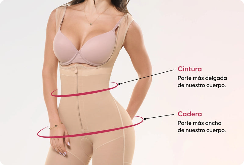 modelo-medidas